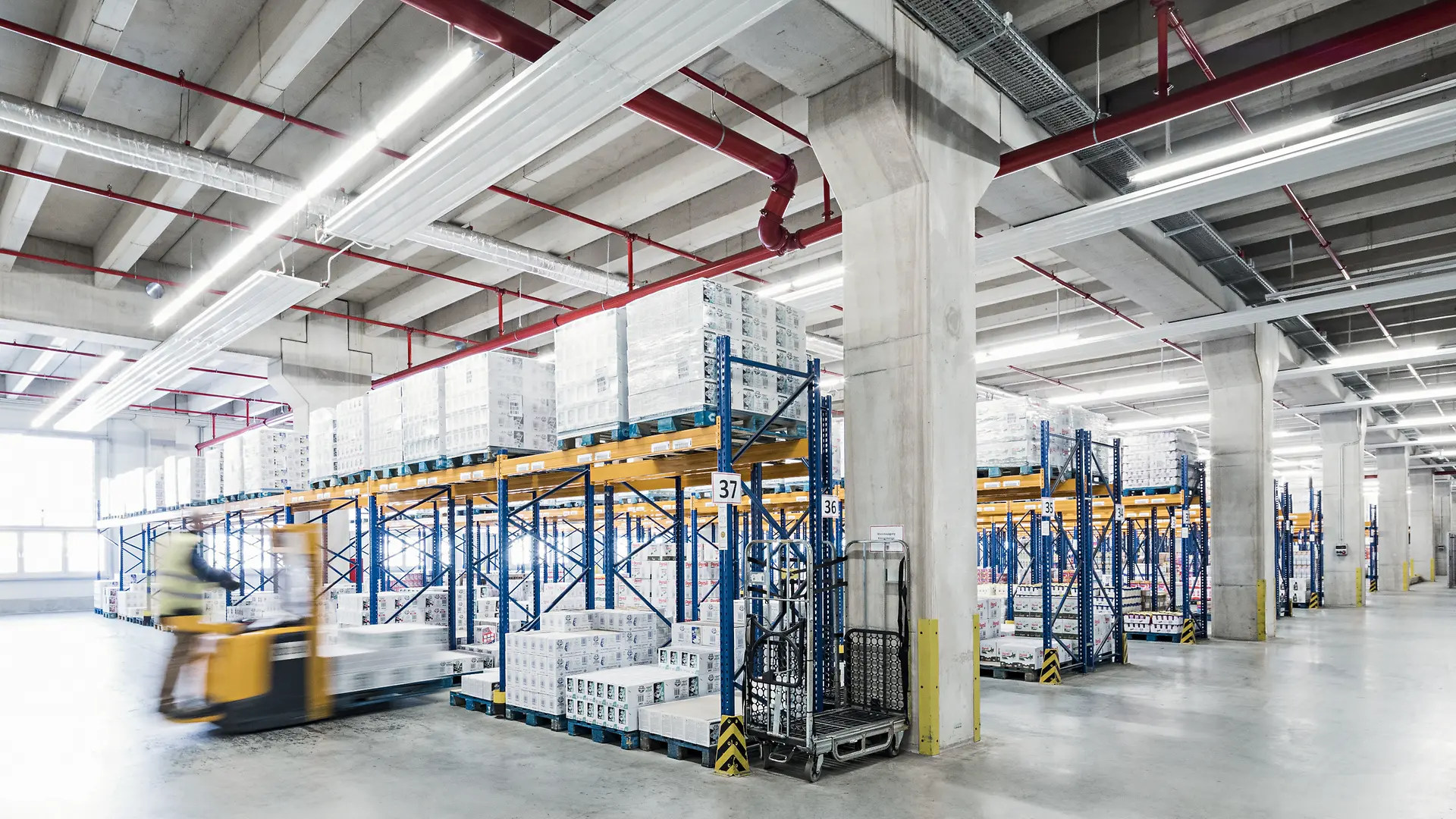 The Resilience Playbook