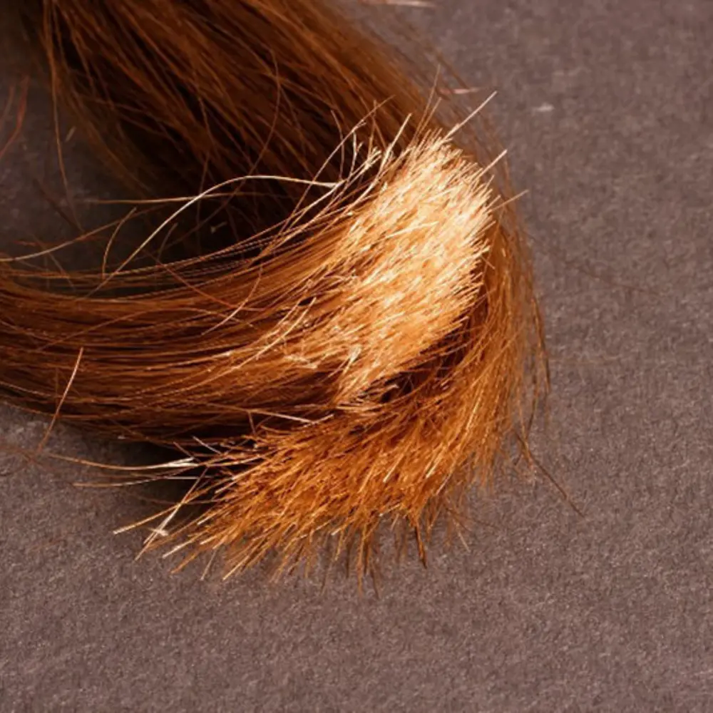 
A problem with longer hair: Split ends