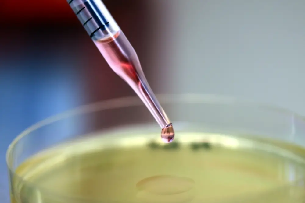 Clinical Studies 