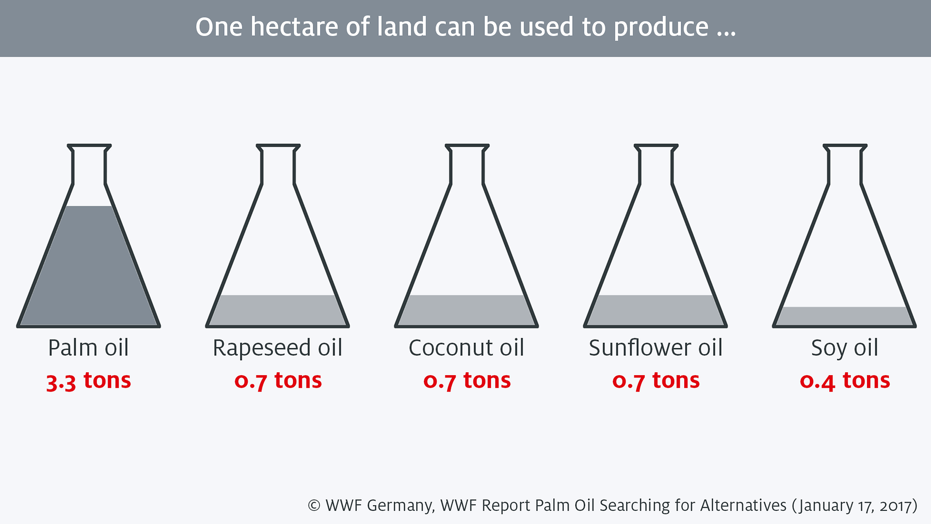 One hectare palm oil 2